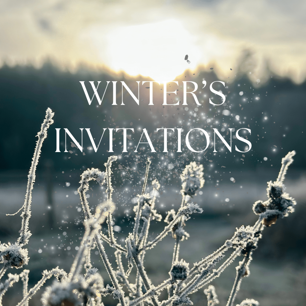 Landscape of a frosty, winter morning sunrise